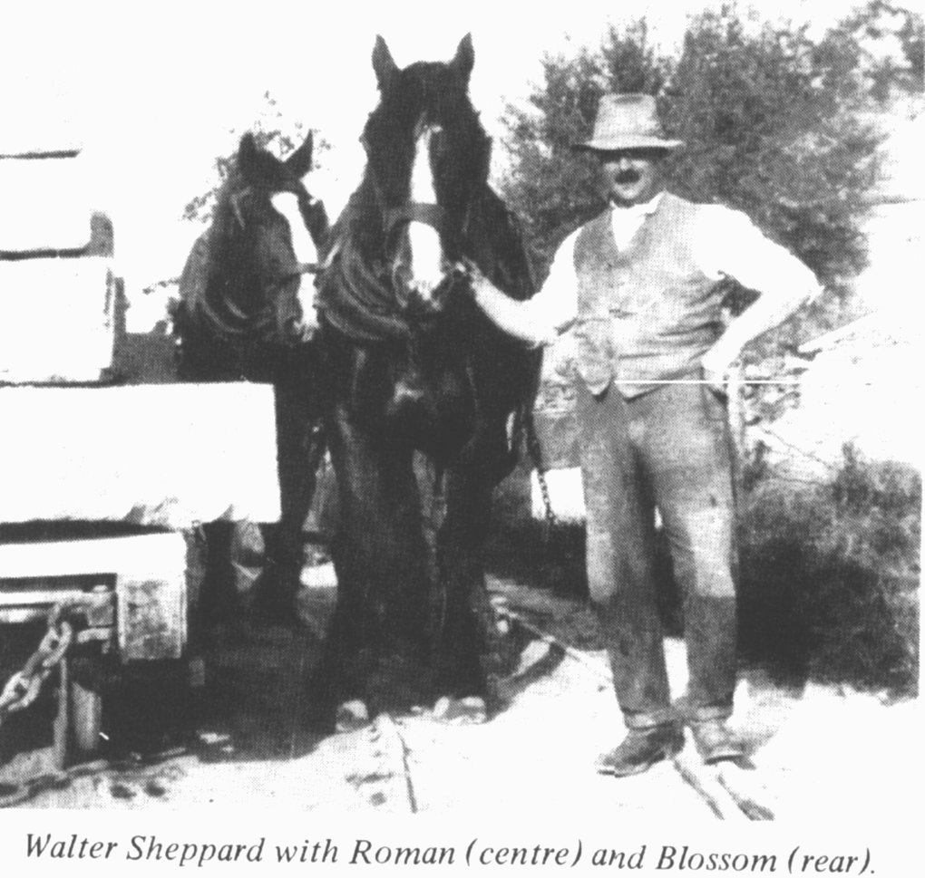 Zoom in WSheppard.jpg