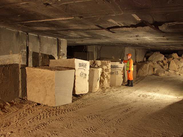 Zoom in Hayes Wood.jpg