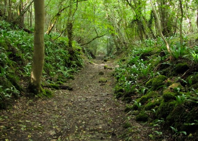 Conkwell Tramway.jpg