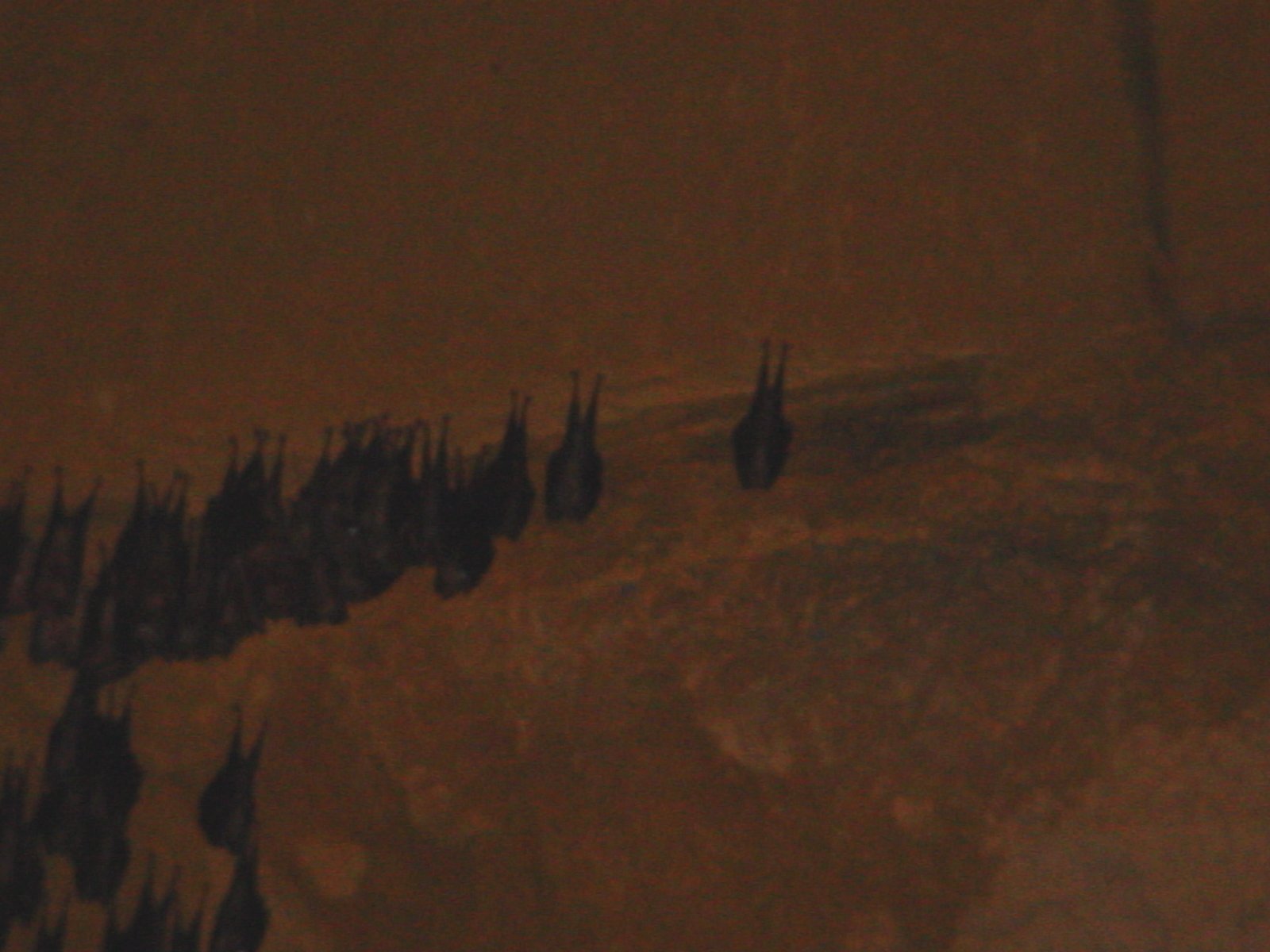 Zoom in DSC01372.JPG