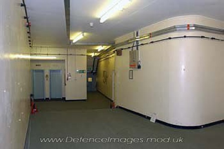 45145294.jpg