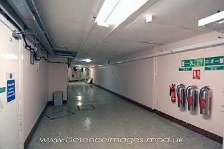 45145388.jpg