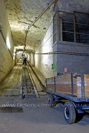 45145405.jpg