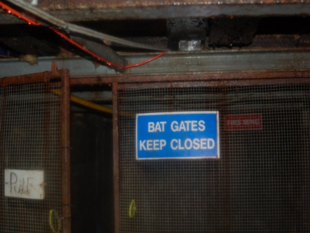 Bat Gates.jpg
